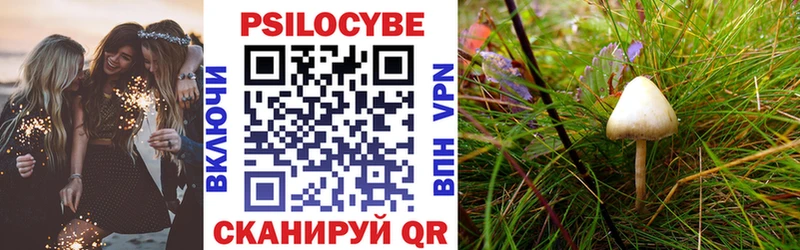Псилоцибиновые грибы мицелий  Хабаровск 