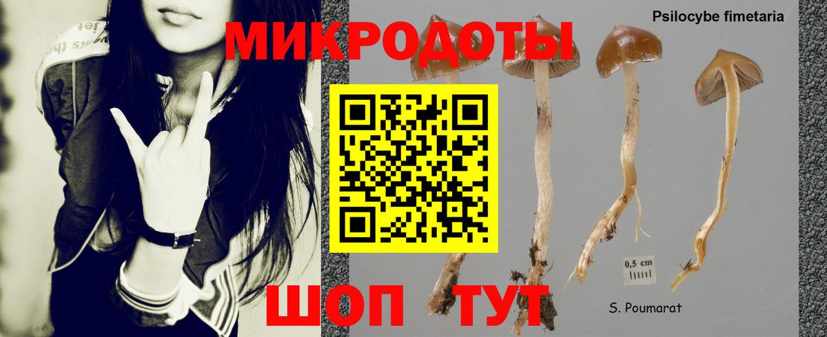 Галлюциногенные грибы Cubensis  Вход с VPN  Хабаровск 